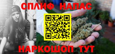 гашик Моздок