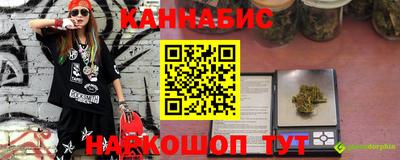 гашик Моздок