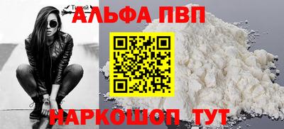 гашик Моздок