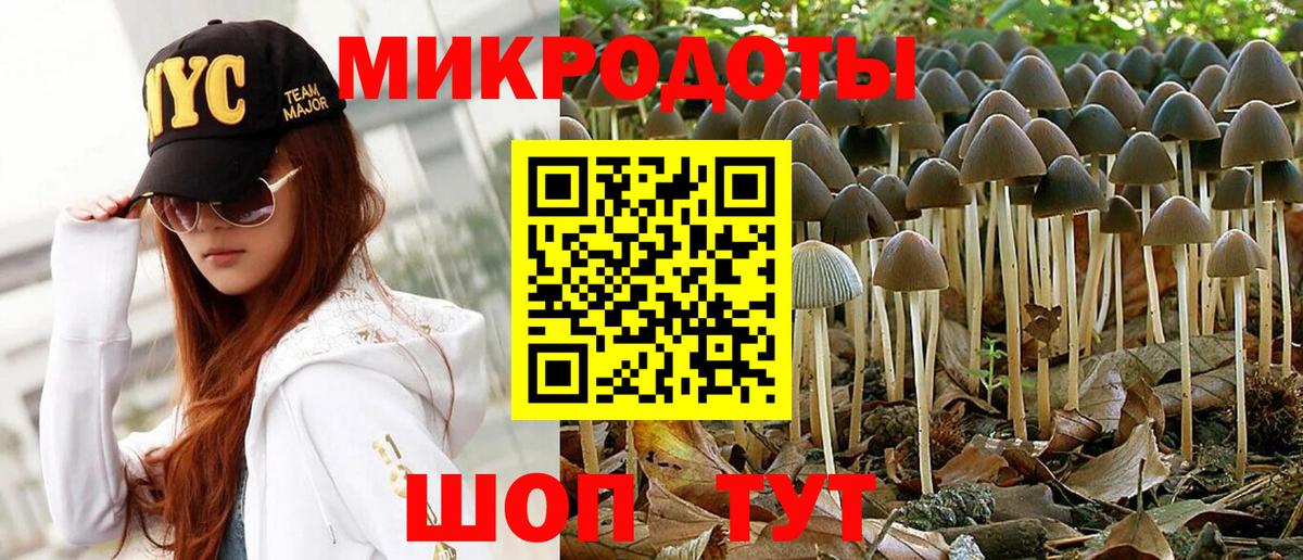 Юрга  Псилоцибиновые грибы Magic Shrooms  Вход с VPN 