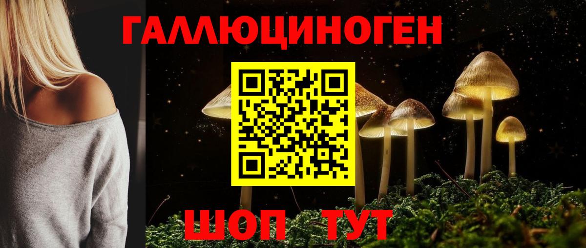 Псилоцибиновые грибы мухоморы Юрга